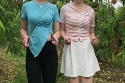 小姐姐摘桃子全过程图,小姐姐摘桃瞬间美如画